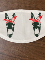 Double Mule design Face Cover with pouch for filter